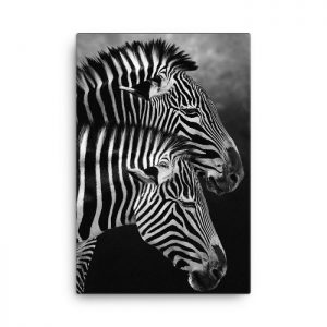 Zebra Couple Wall Art HD